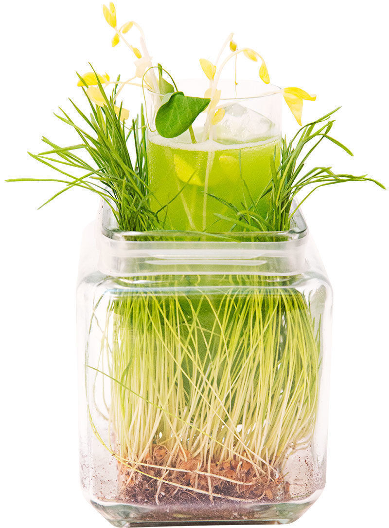 Рецепт коктейля Повелитель растений